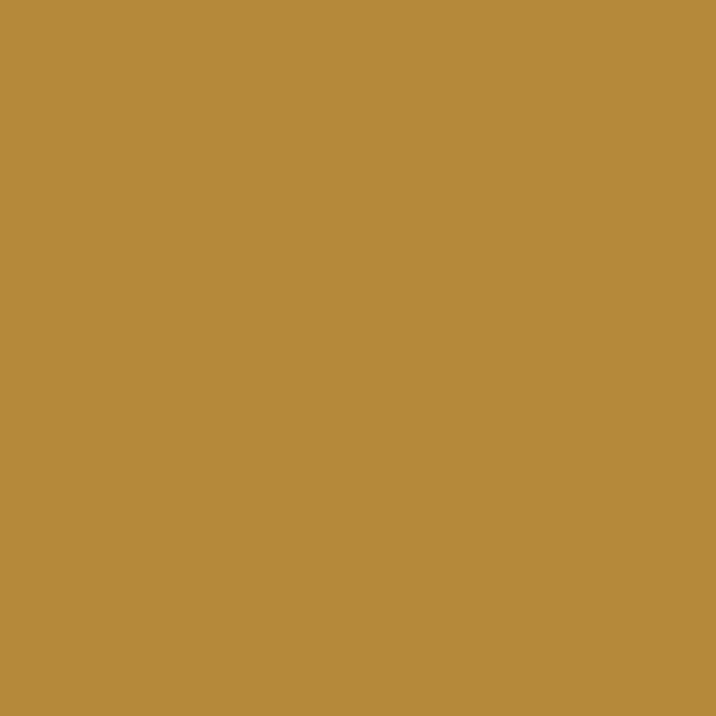 background_01