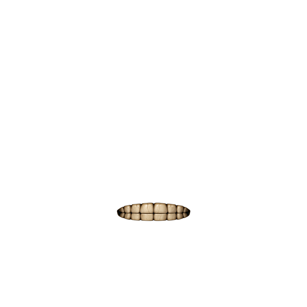mouth_03