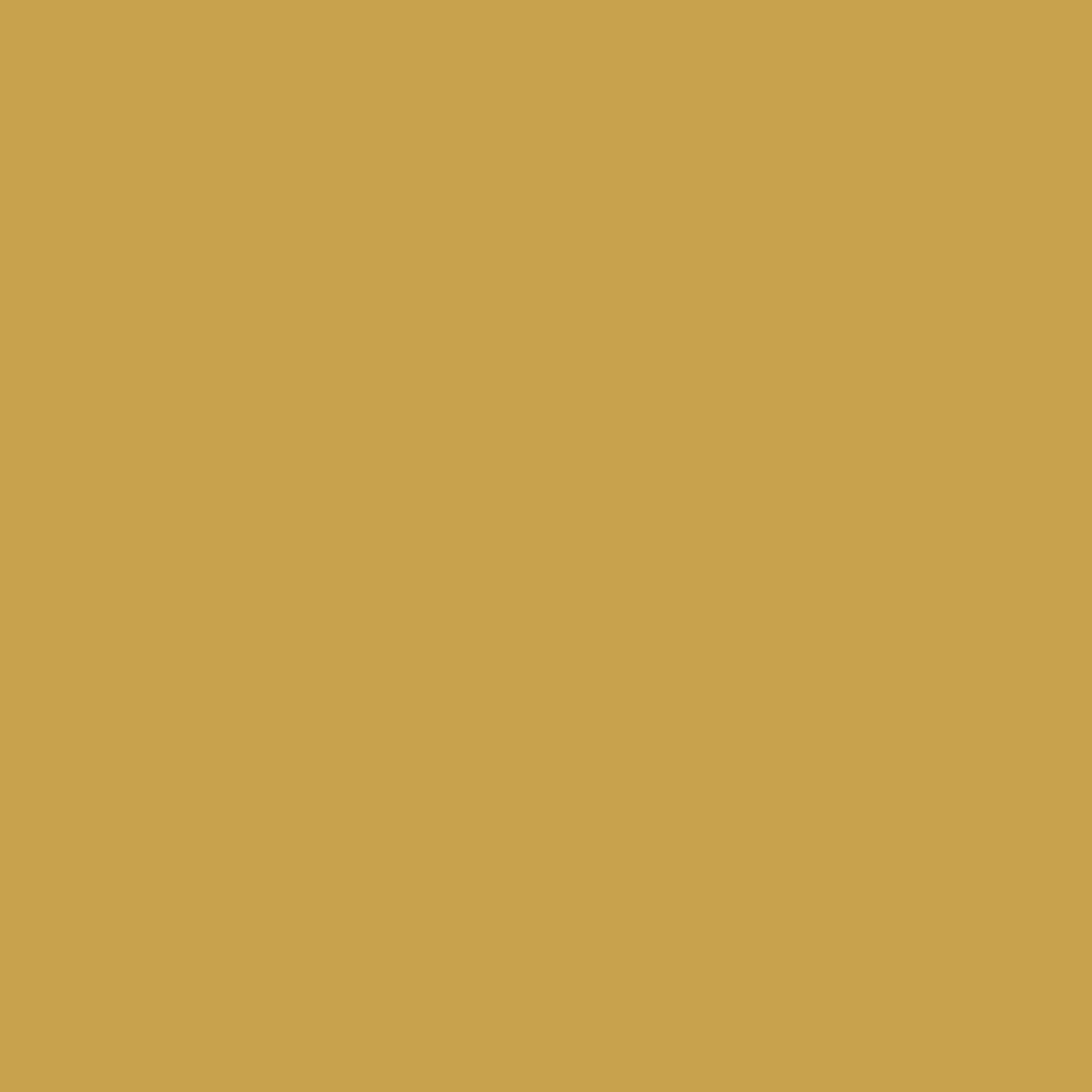 background_02