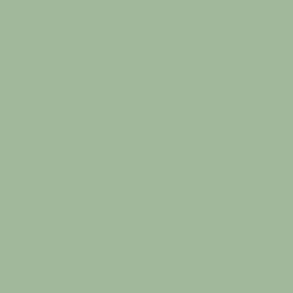 background_02