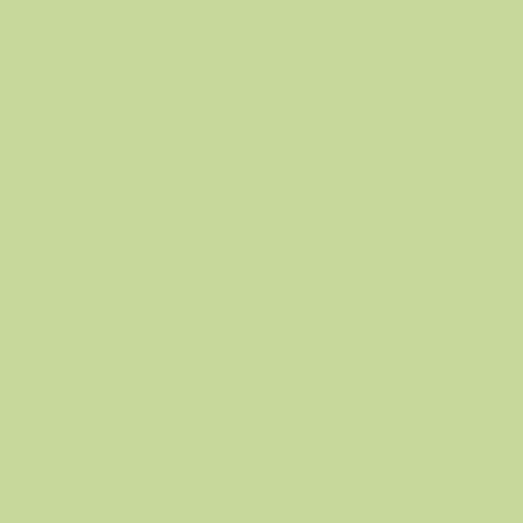 background_06