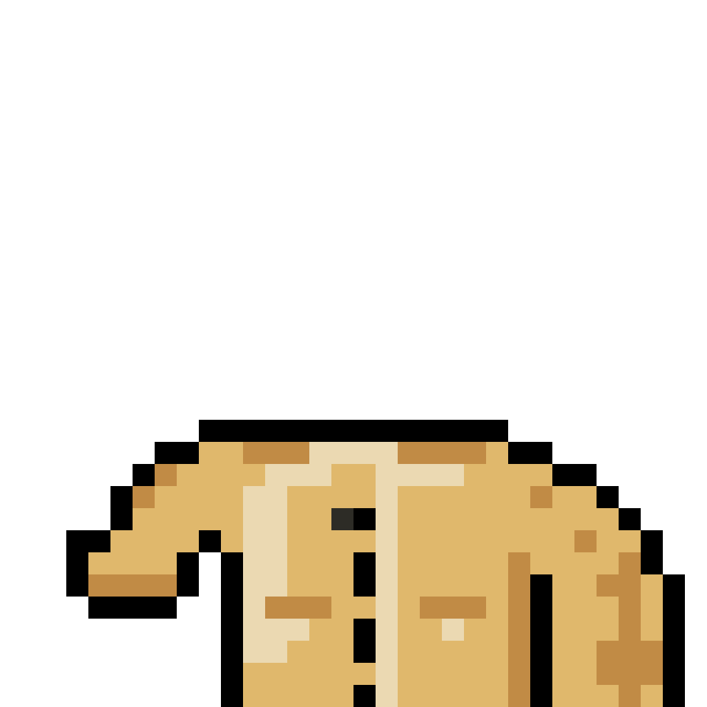 jumper_12