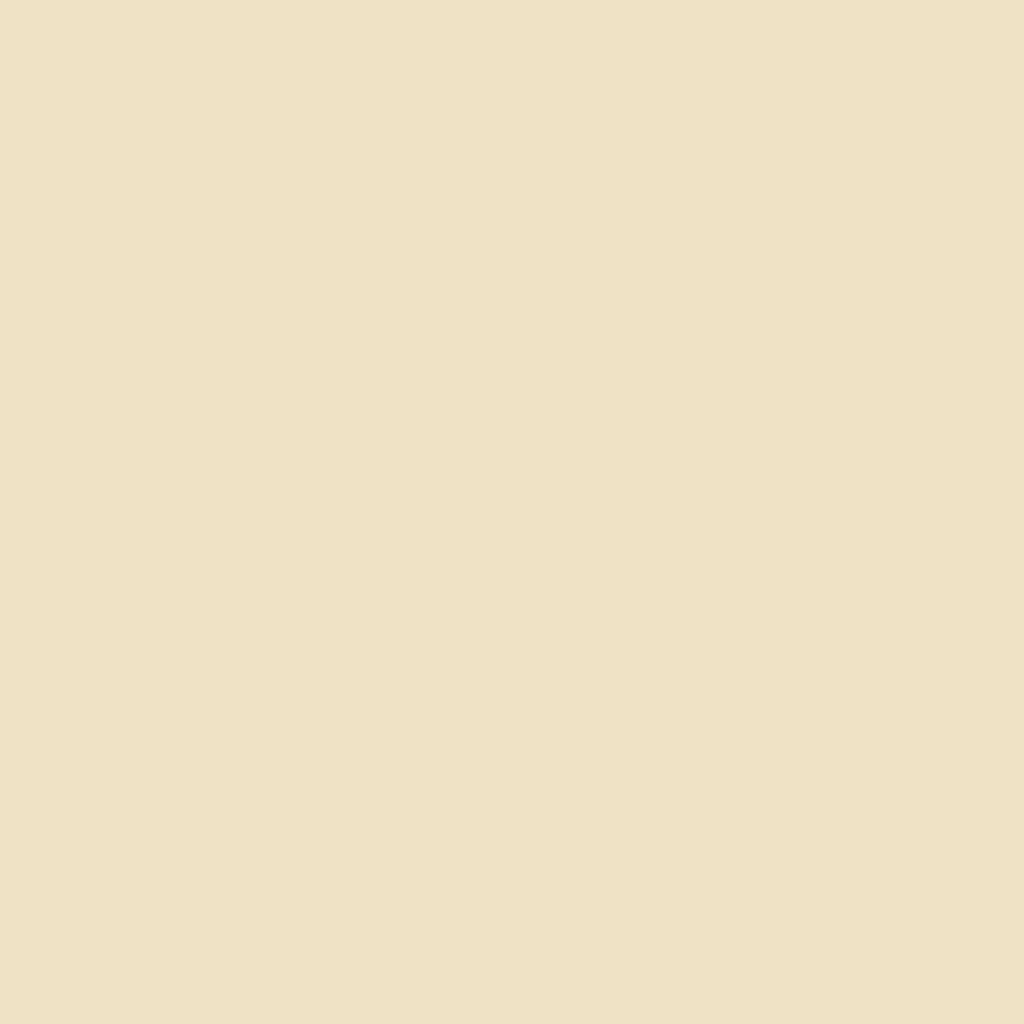 background_04