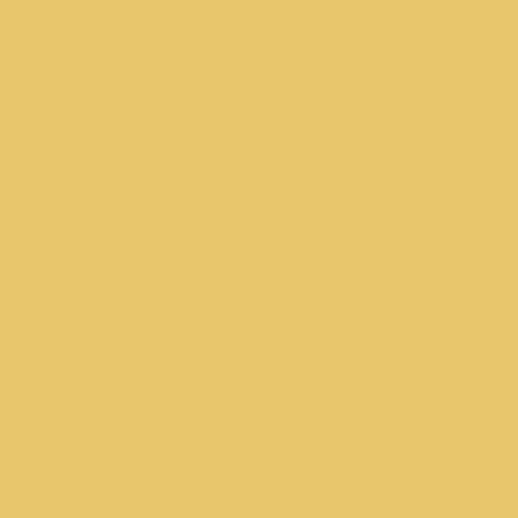 background_02